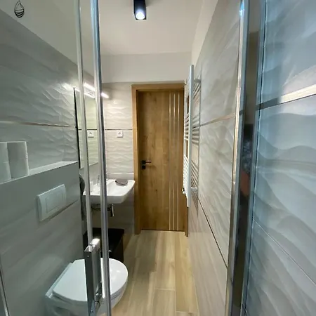 Cedrus バラトンフレド